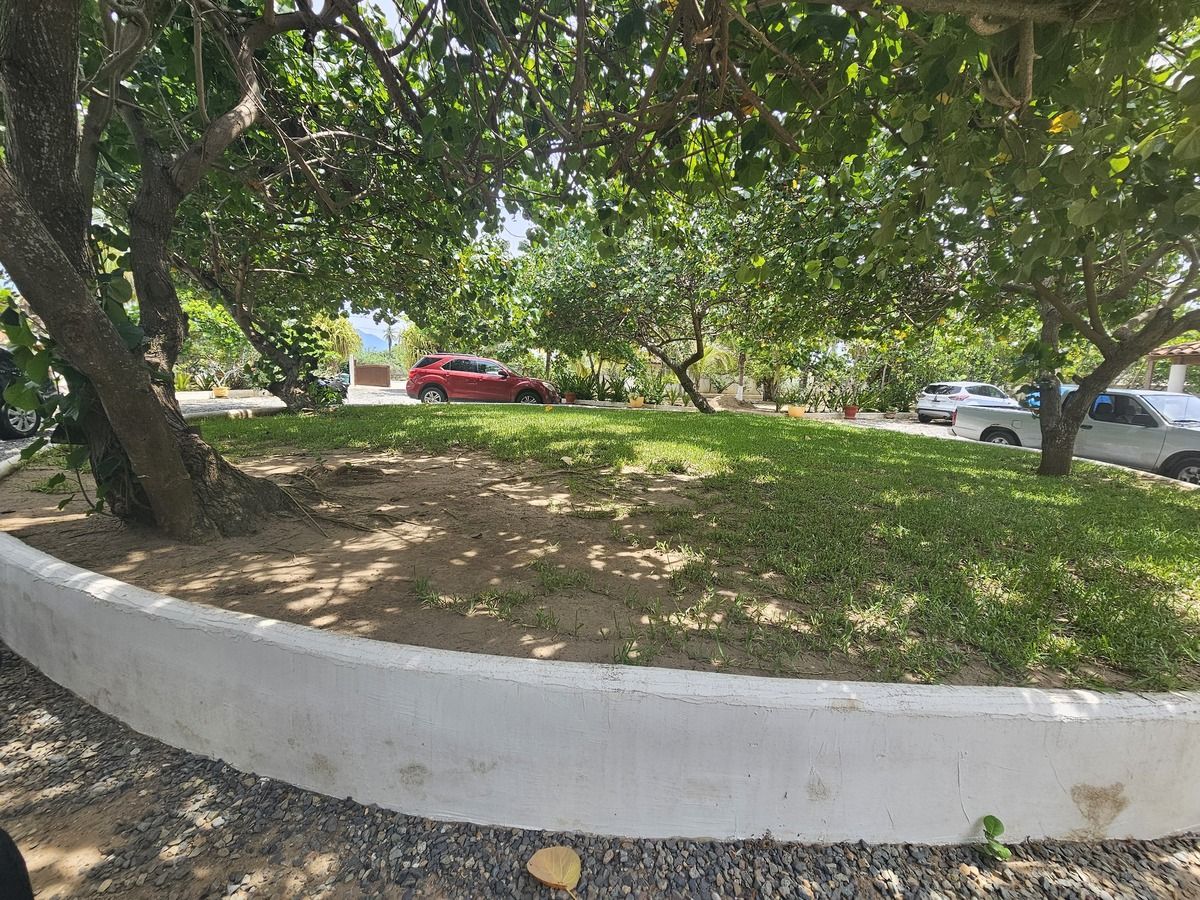 31 de 38