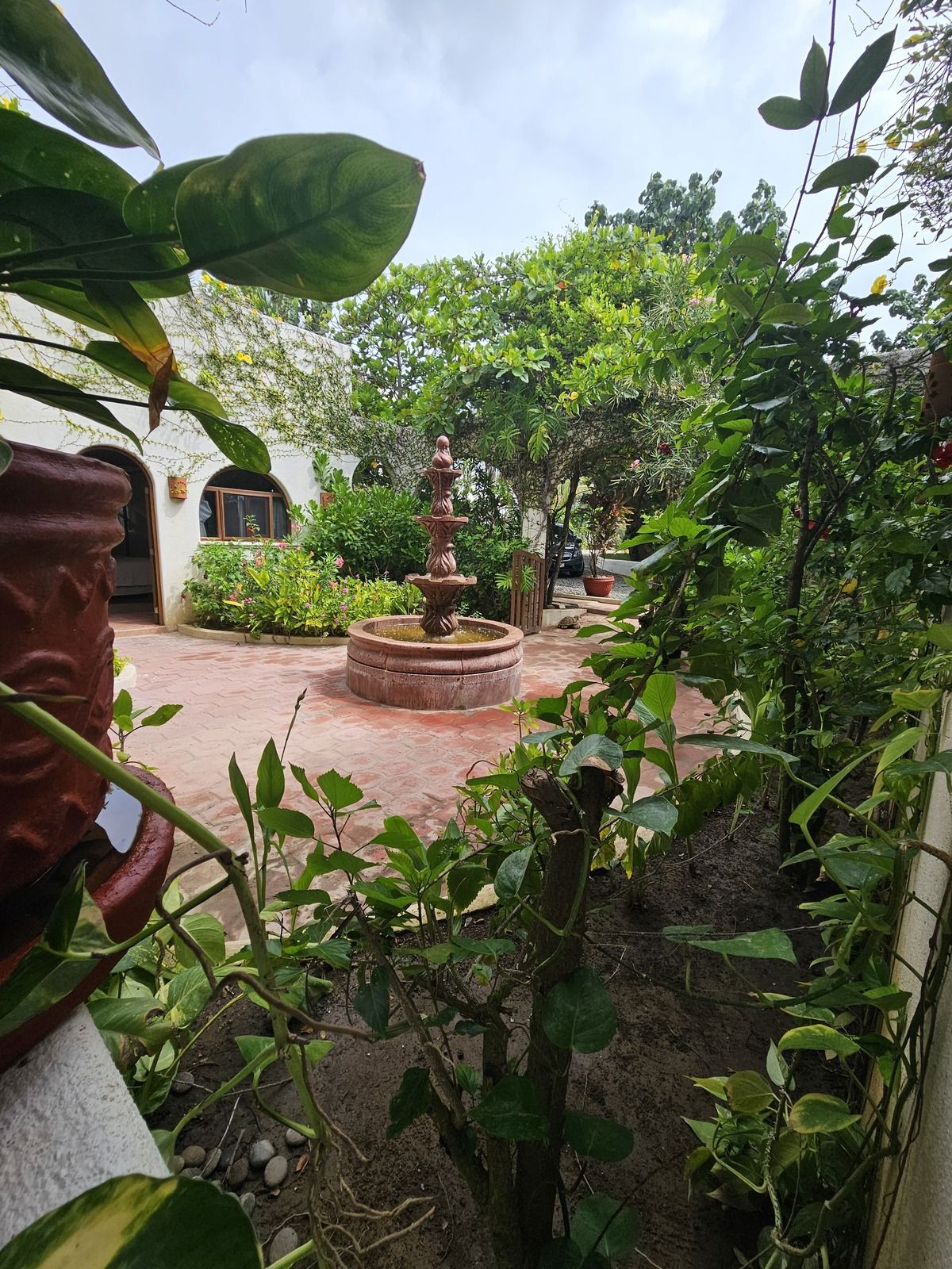 36 de 38