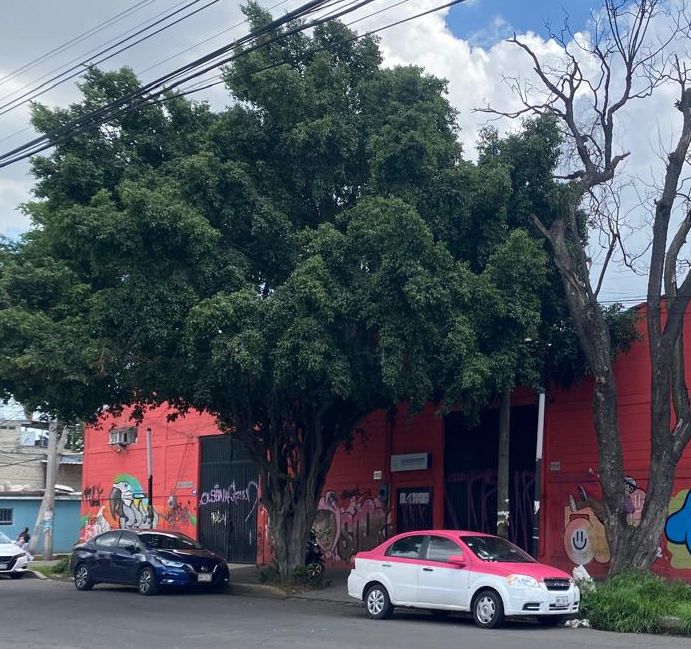 2 de 2