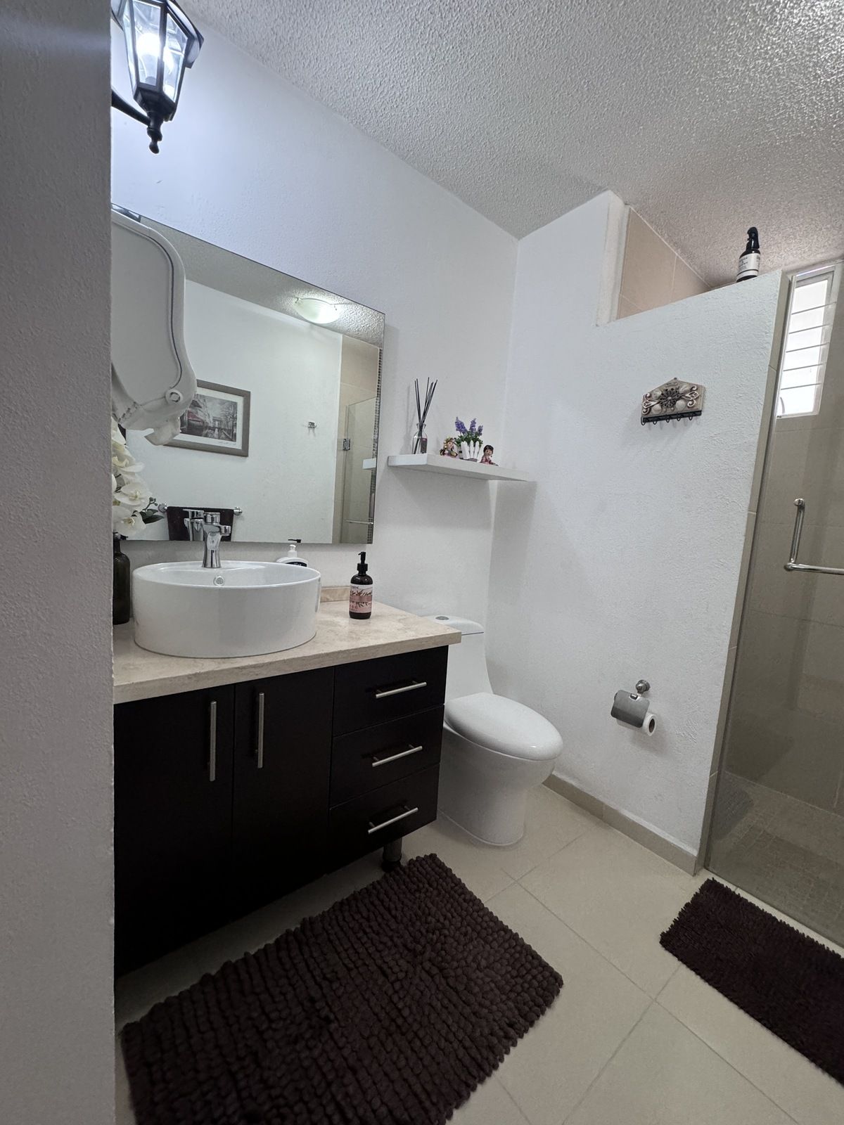House in Gated Community in Colonia El Mirador, Querétaro, photo 25 of 40