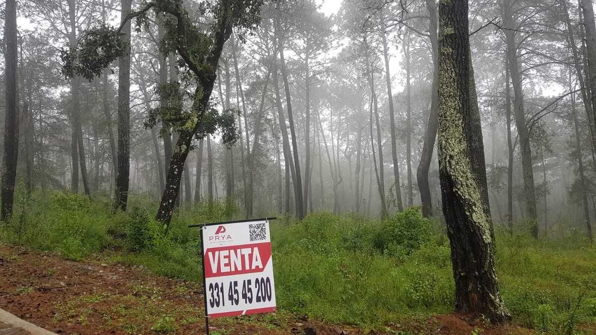 4 de 13