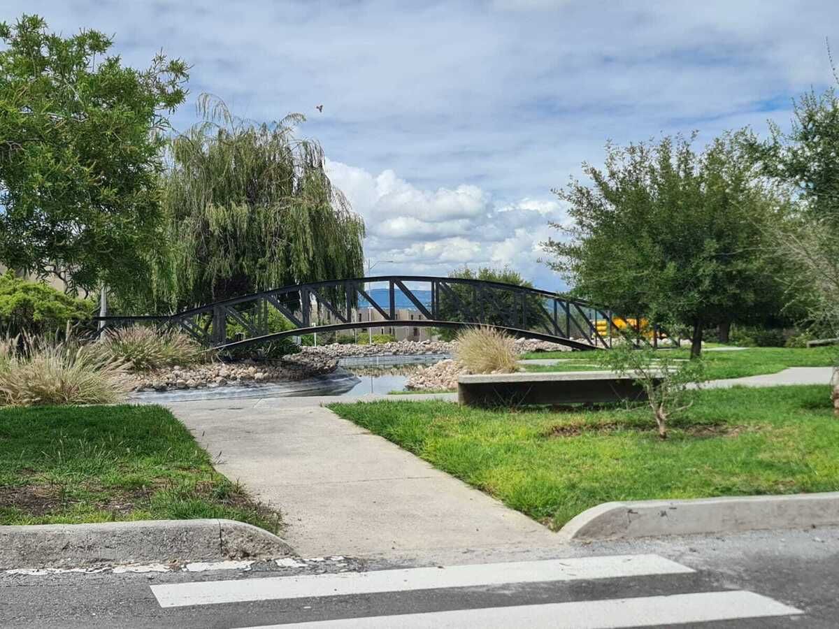 7 de 34