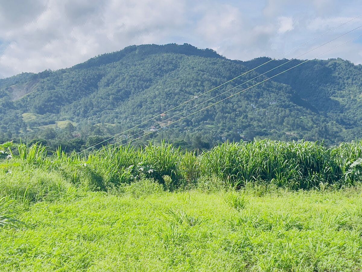 Terreno en Salto Jimenoa, Jarabacoa, foto 3 de 7