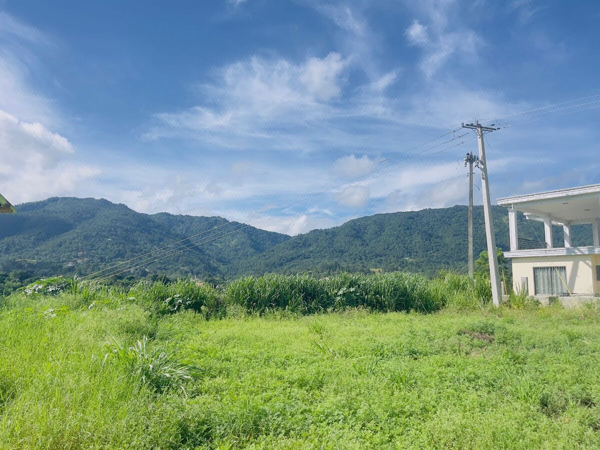 Terreno en Salto Jimenoa, Jarabacoa, foto 6 de 7