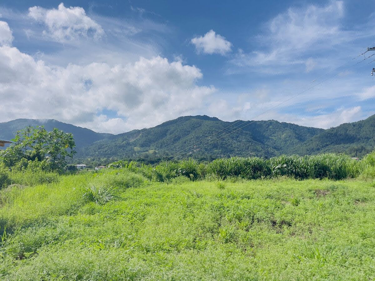 Terreno en Salto Jimenoa, Jarabacoa, foto 7 de 7