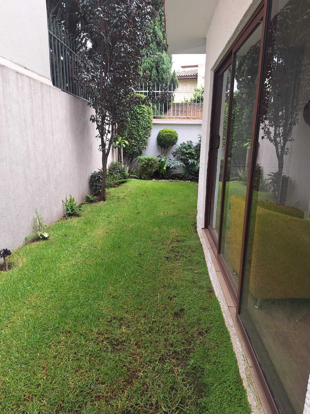11 of 42: Jardin