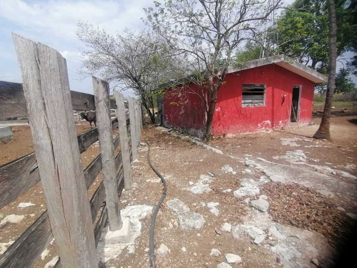 5 de 22