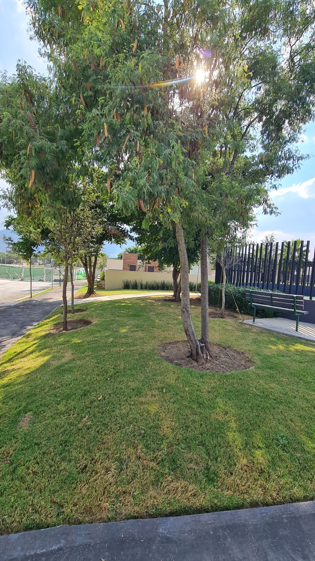 PARQUE