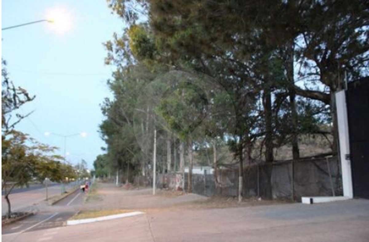 Terreno à Venda em Zapopan, foto 1 de 6
