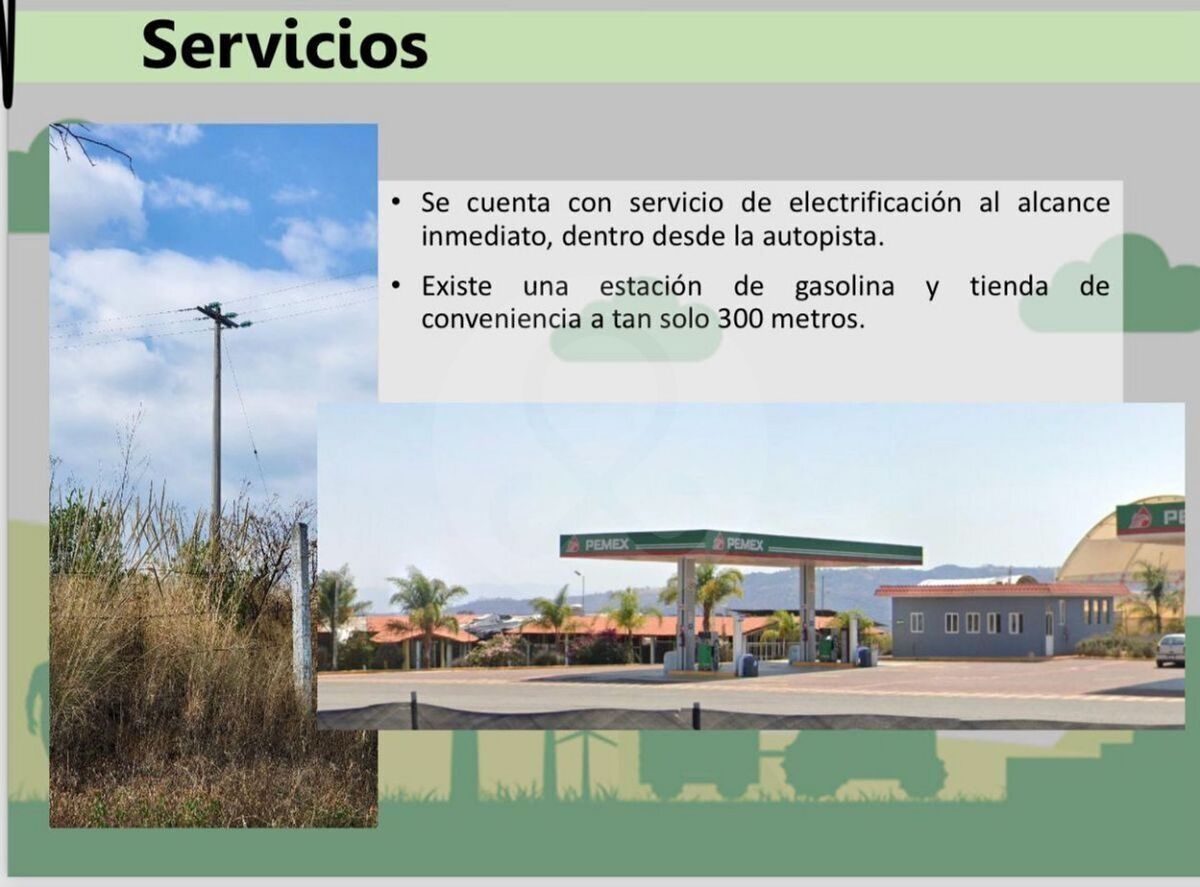 11 de 13