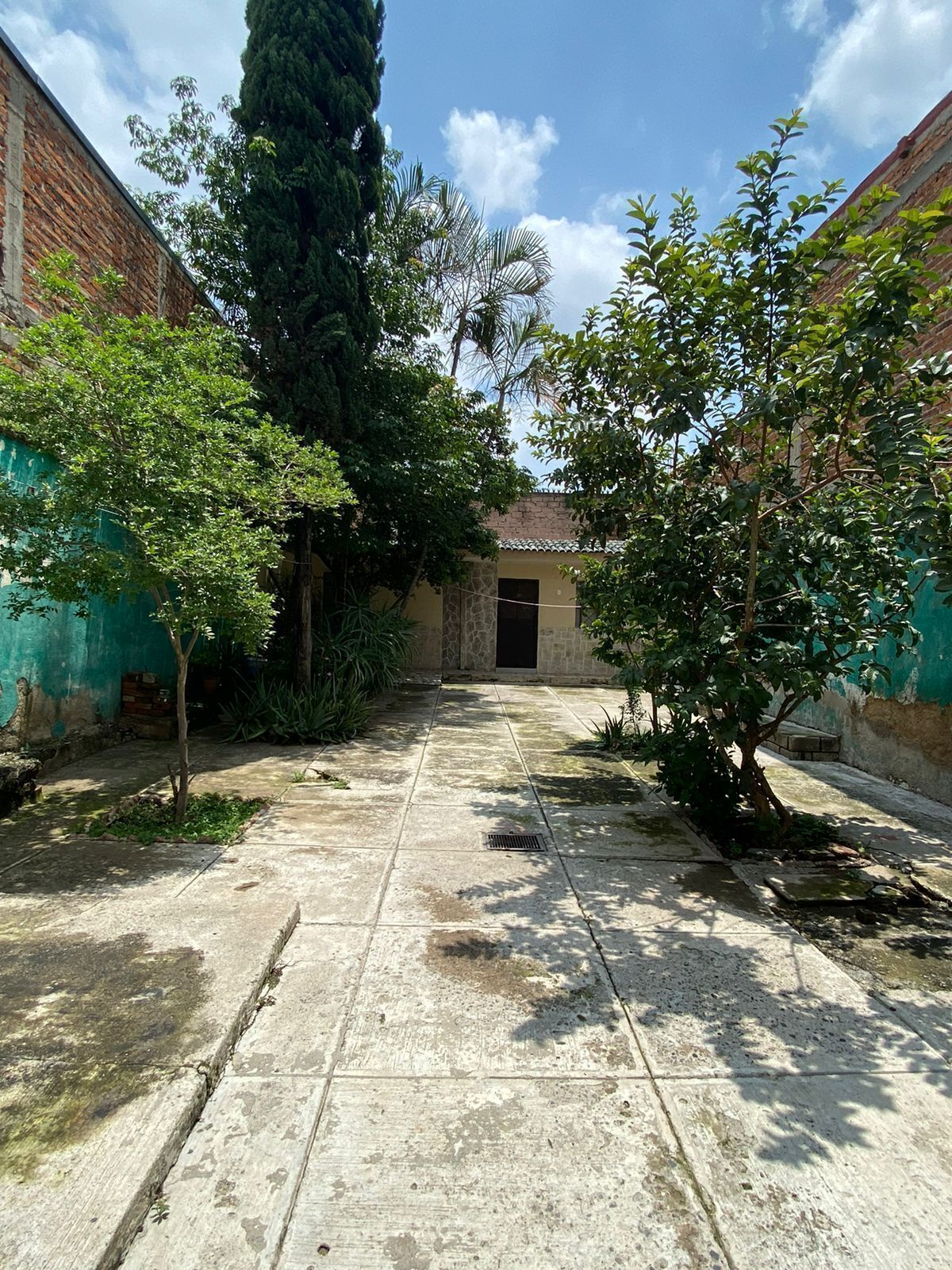 3 de 24