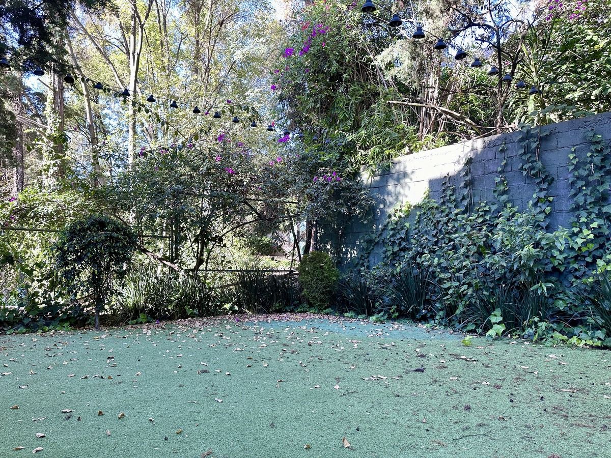 16 of 41: ¿Sabeslo que podrías gozar este jardín?