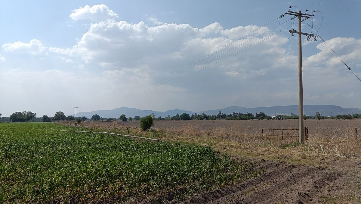 5 de 11