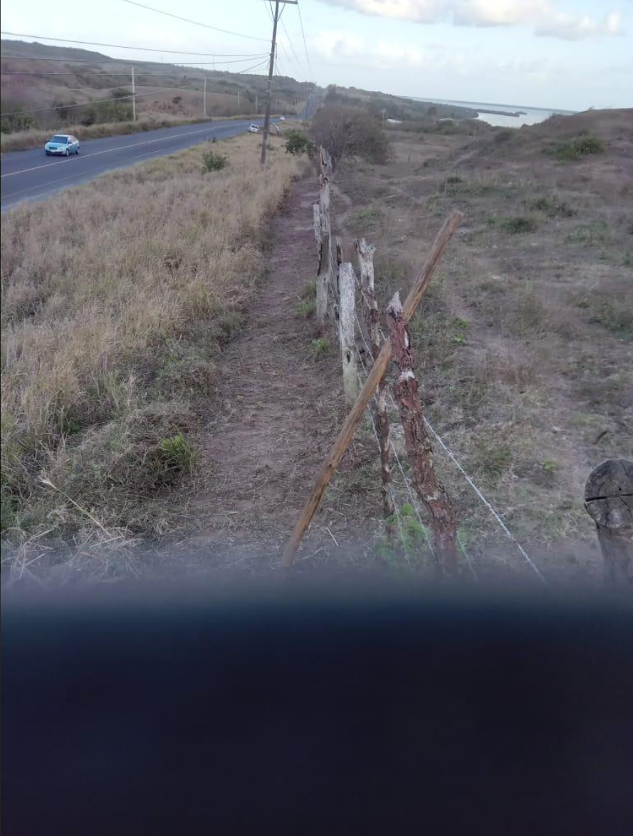 Imagen 6 de 10
