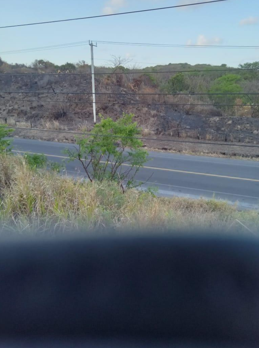 Imagen 4 de 10