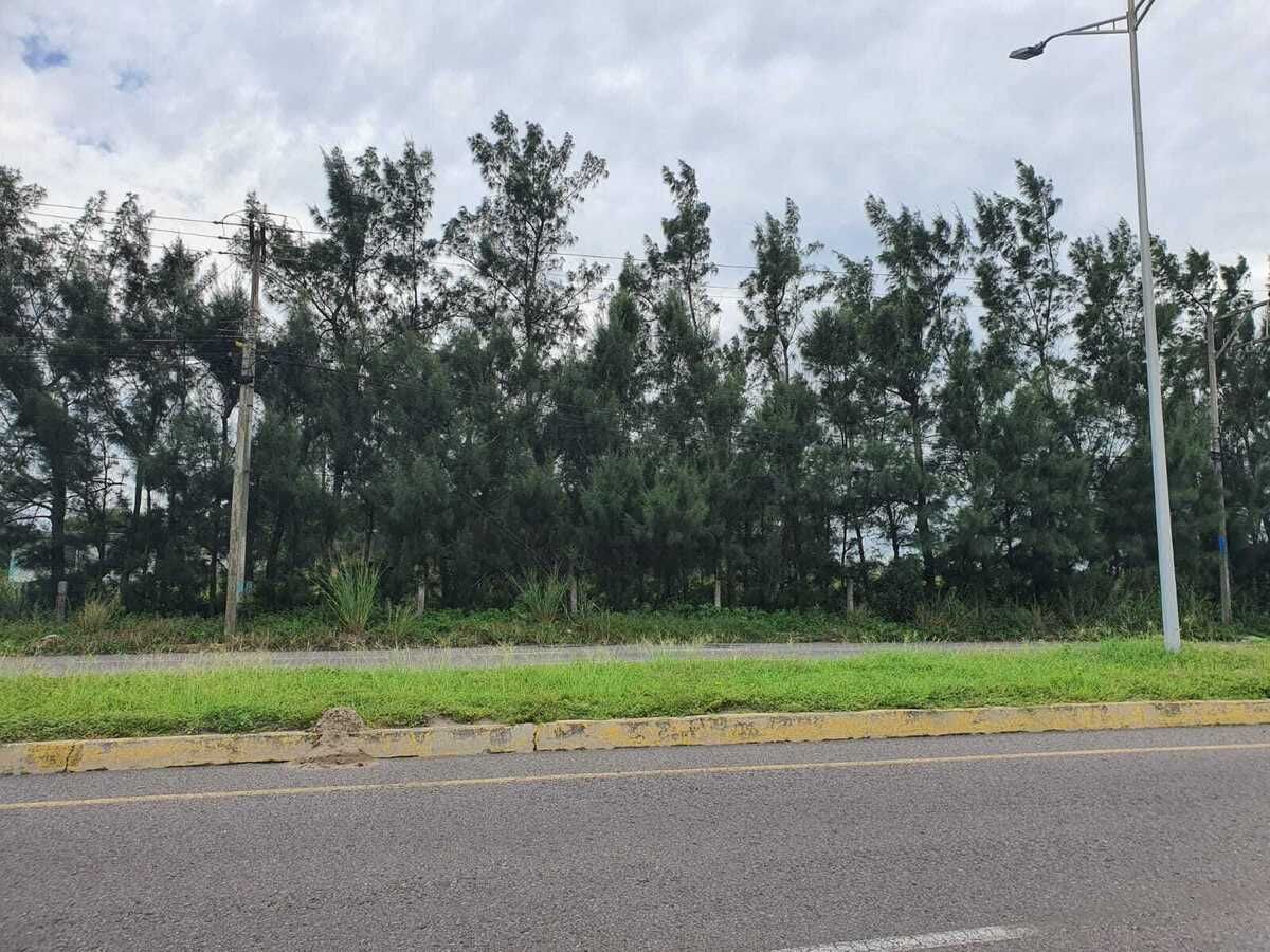 10 hectáreas a oriila de carretera en la riviera veracruzana