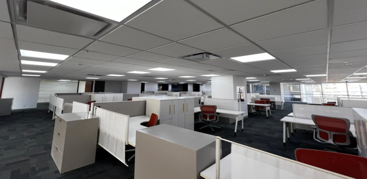 OFICINA EN MASARYK EN RENTA