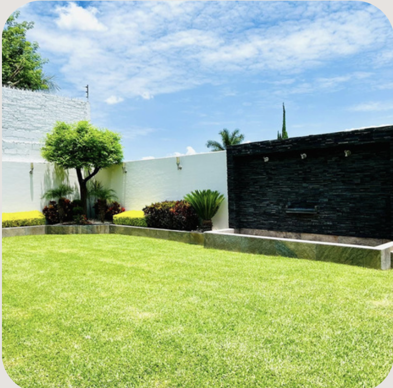 Jardin en planta baja