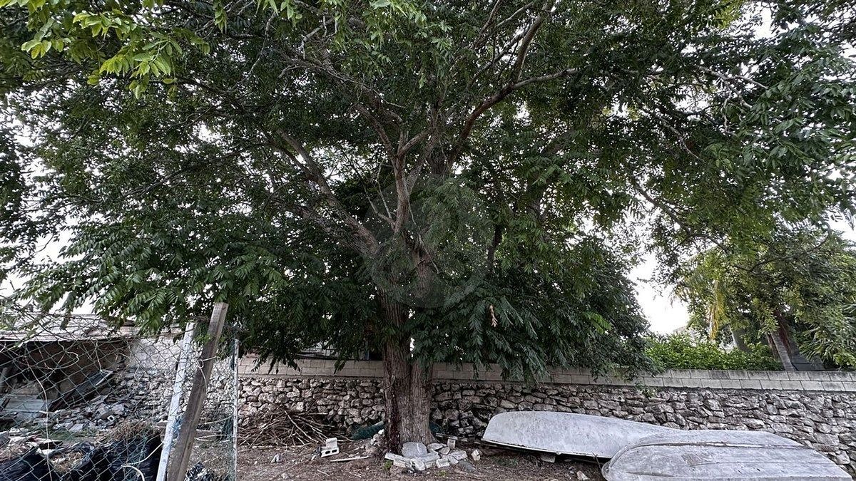 Lot in Progreso de Castro Centro, Progreso, photo 10 of 13