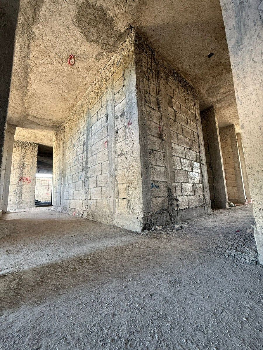 19 de 24: AVANCE ENERO 2026