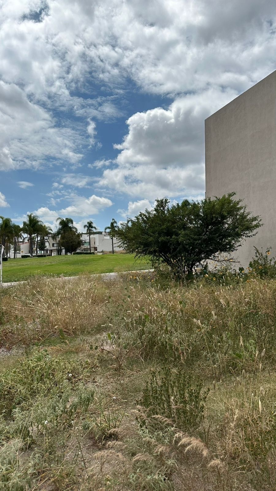 2 de 5