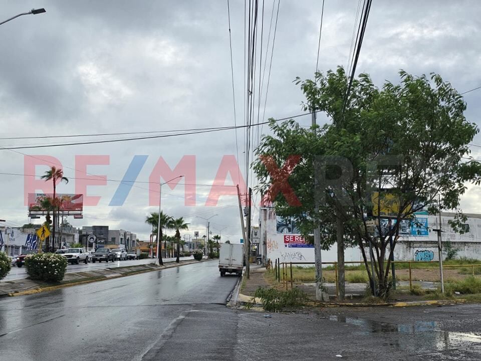 5 de 7