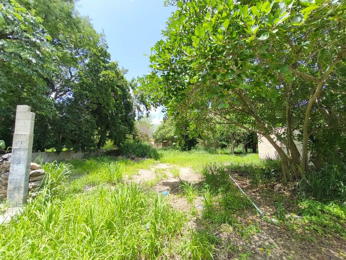 Lote em Mérida Centro, Mérida, foto 3 de 9