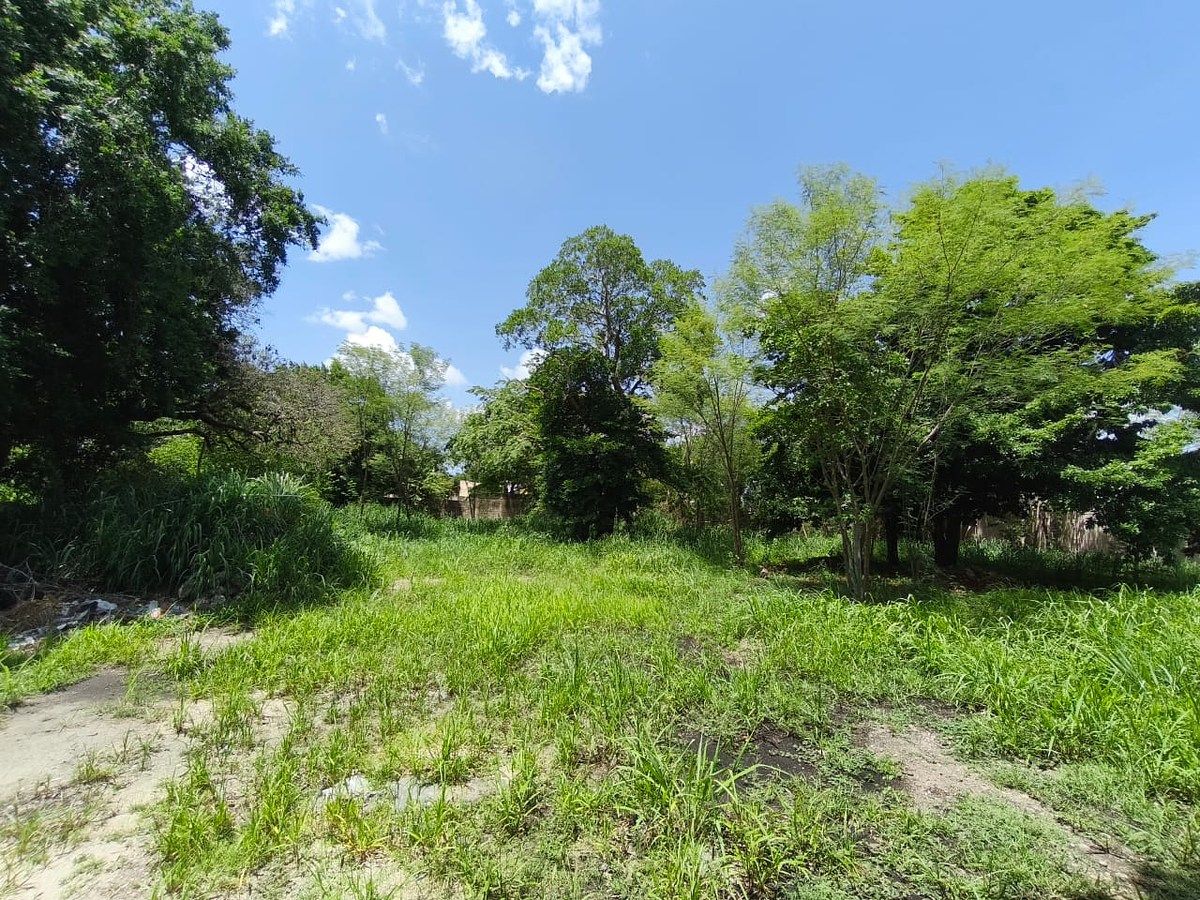 Lote em Mérida Centro, Mérida, foto 5 de 9