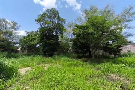 EXCELENTE TERRENO EN VENTA DE 853 M2 MERIDA, CENTRO (AVT-1271)