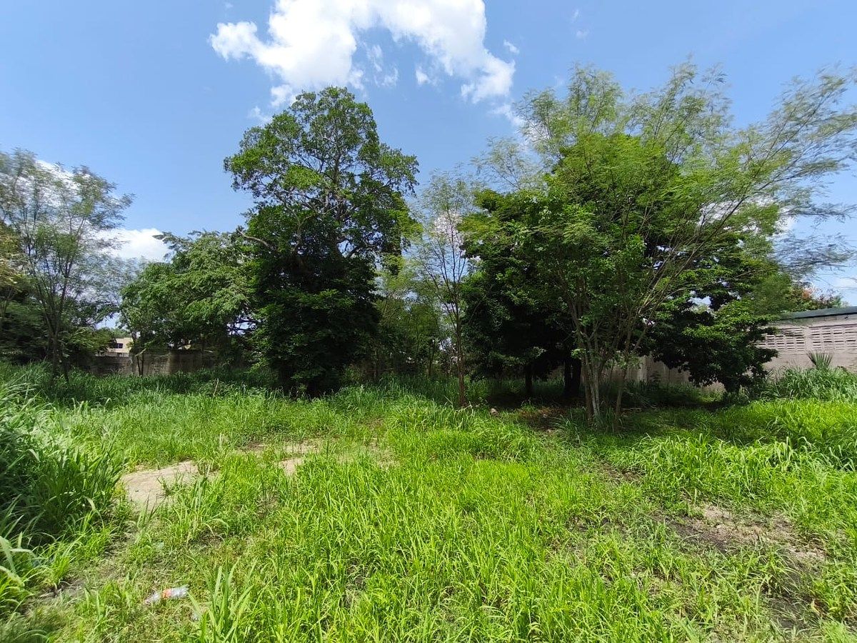 Lote em Mérida Centro, Mérida, foto 6 de 9