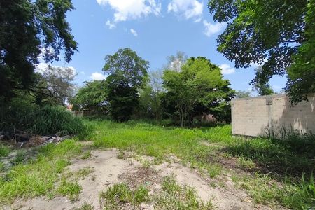 EXCELENTE TERRENO EN VENTA DE 853 M2 MERIDA, CENTRO (AVT-1271)