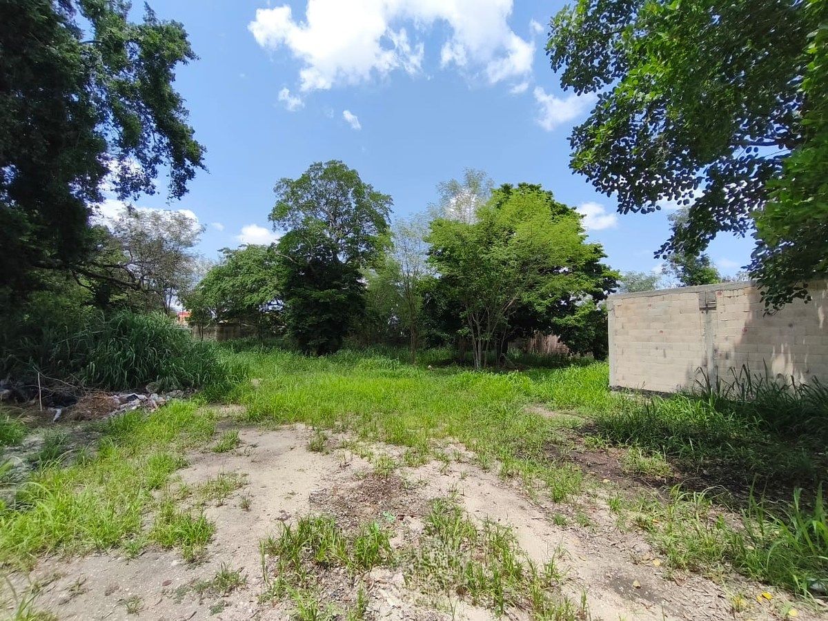 Lote em Mérida Centro, Mérida, foto 7 de 9