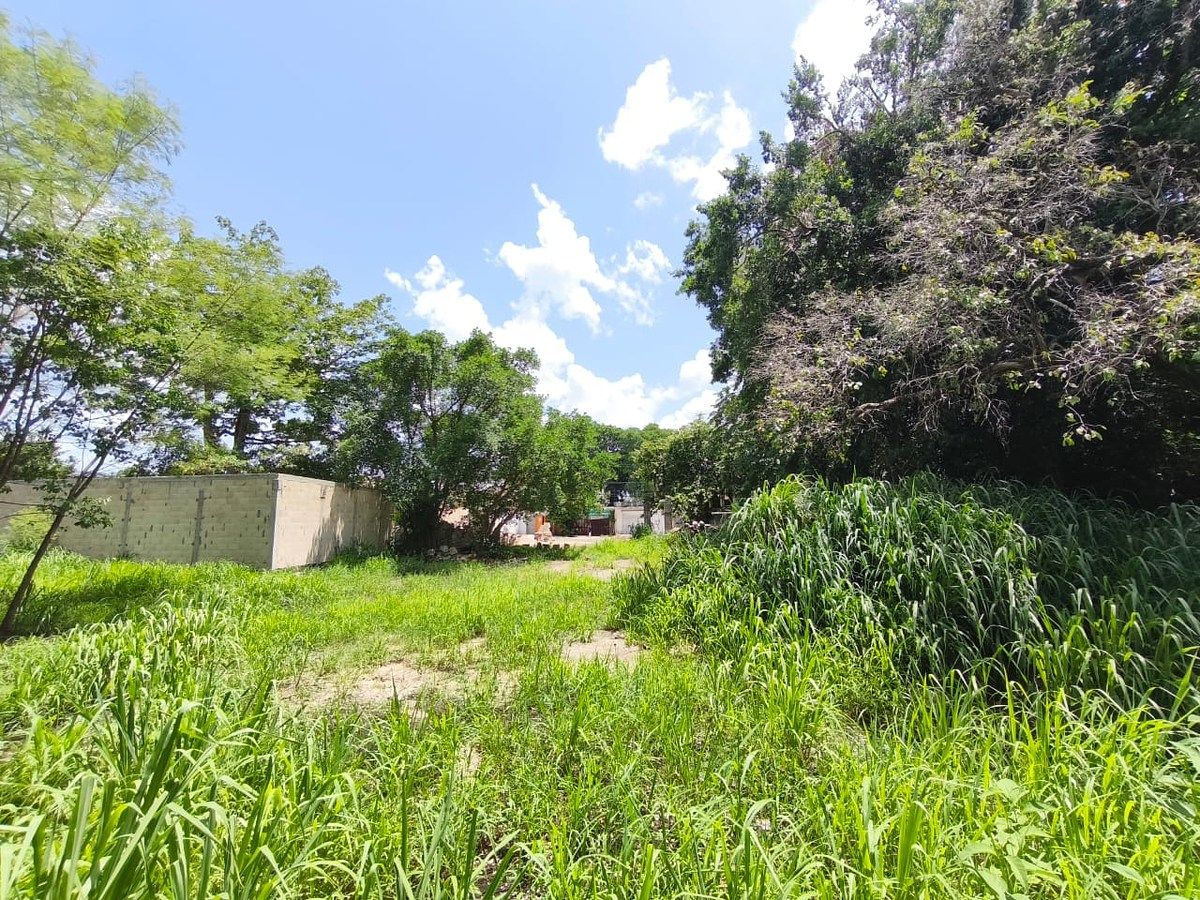 Lote em Mérida Centro, Mérida, foto 8 de 9