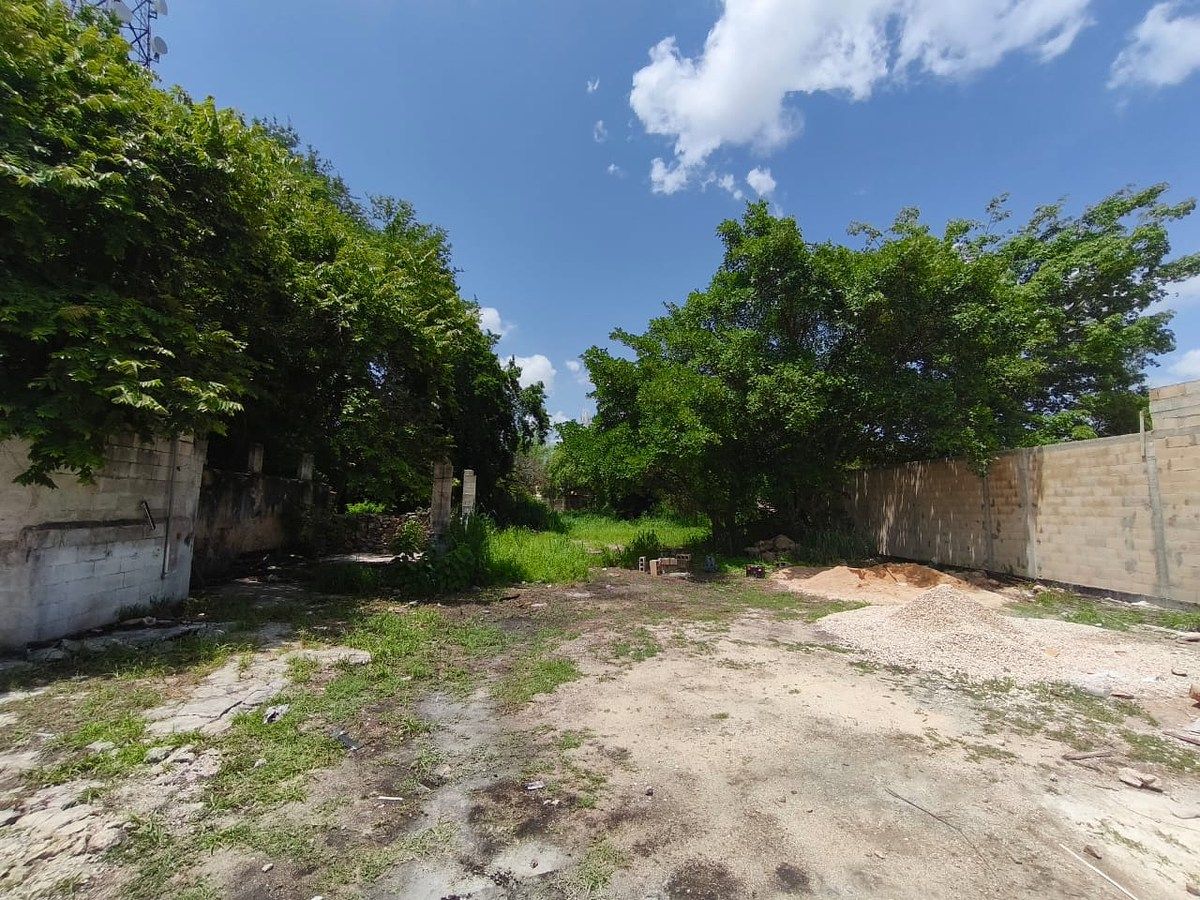 Lote em Mérida Centro, Mérida, foto 9 de 9