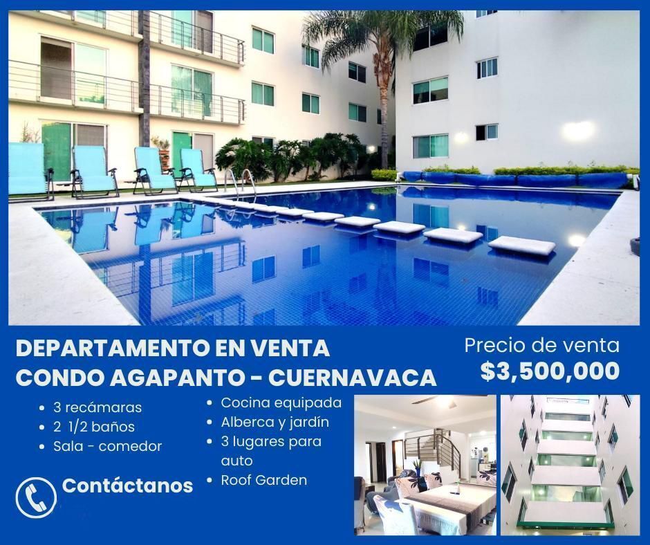 Imagen 1 de 1
