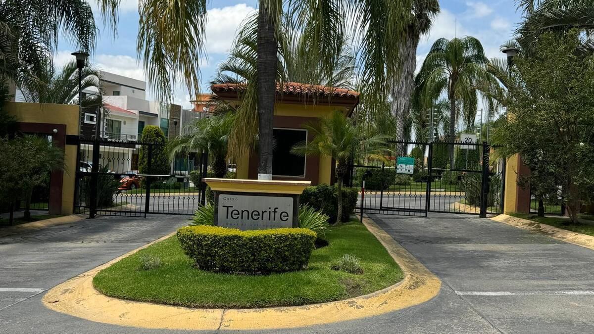 2 de 31