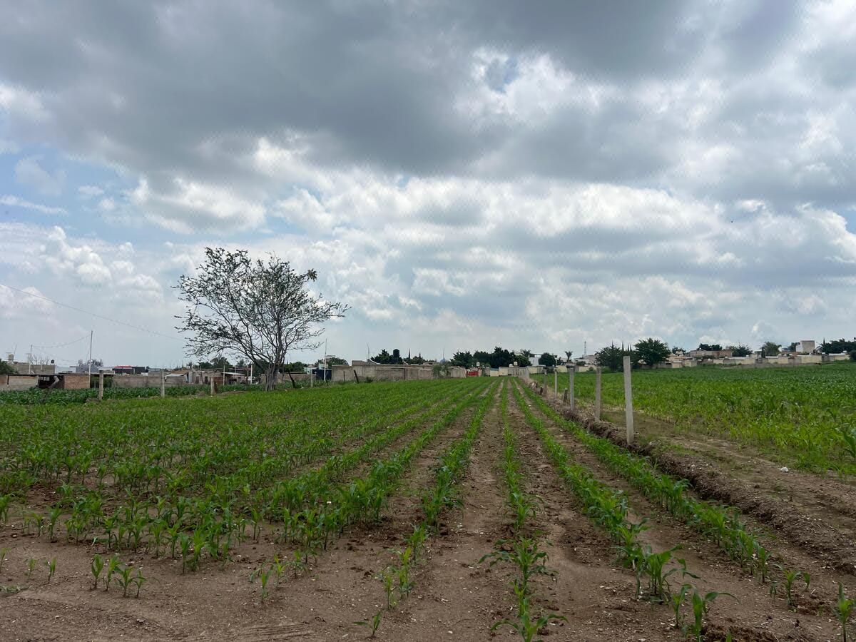 TERRENO EN AV. 8 DE JULIO
