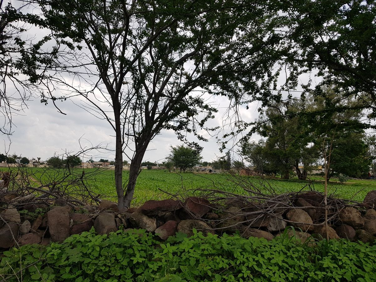 Foto 3 de TERRENO EN AV. 8 DE JULIO