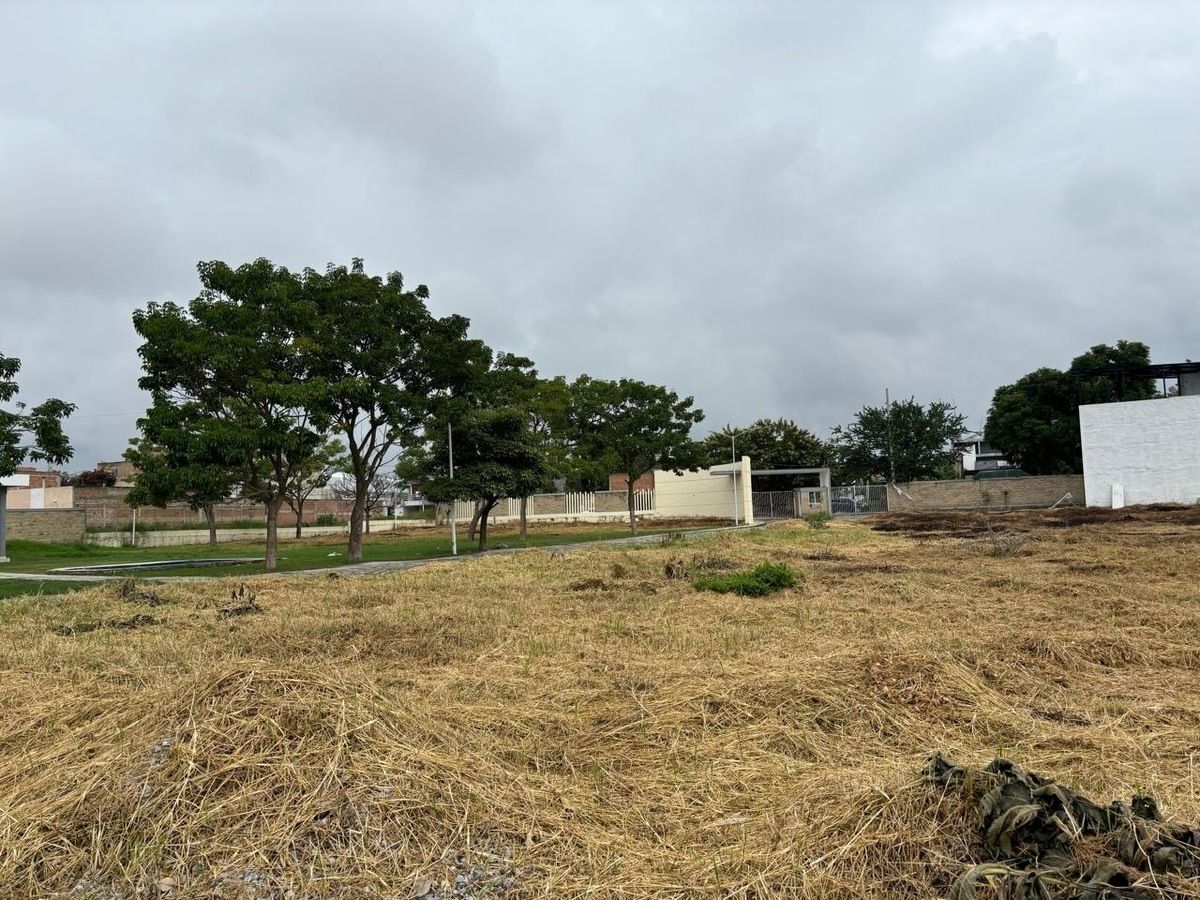 Terreno en Bosque de Los Encinos, Zapopan, foto 5 de 8