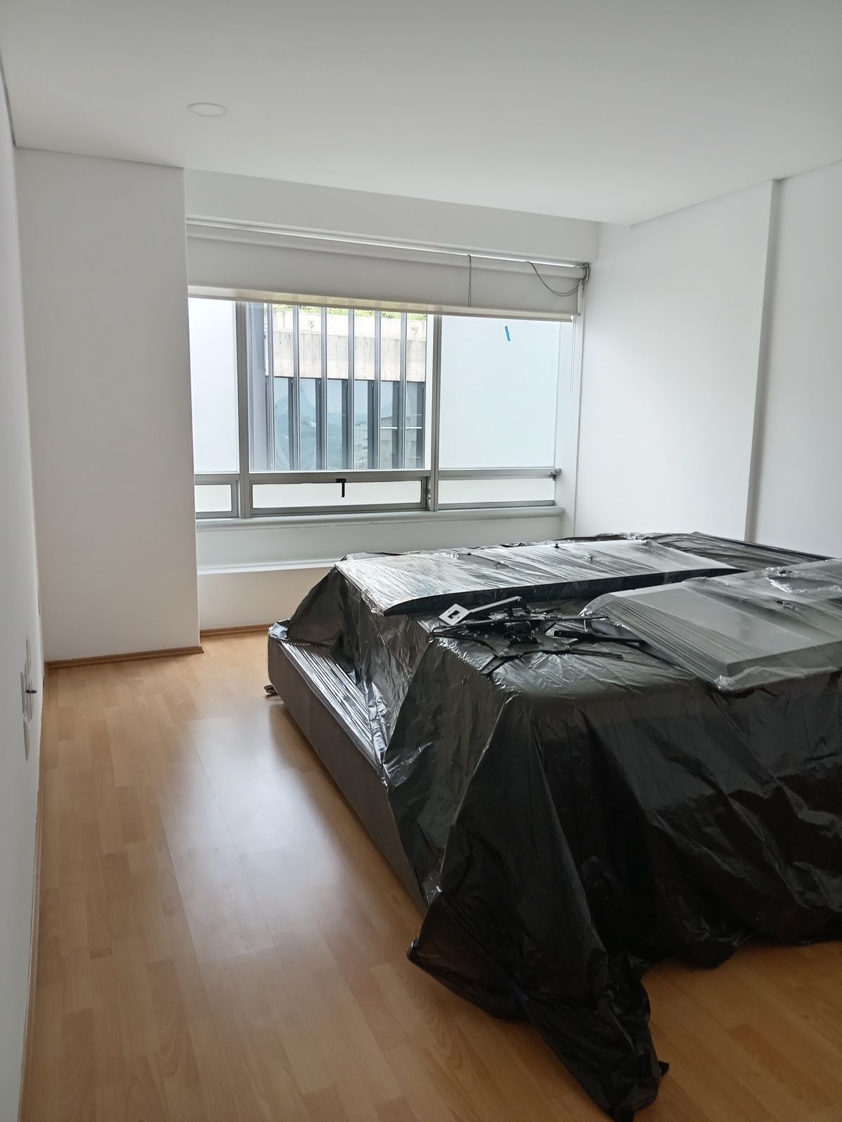 19 de 23: Rec Principal