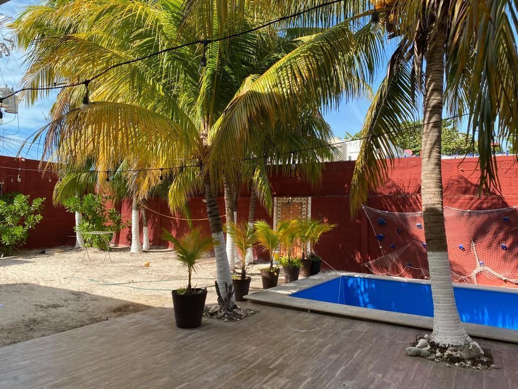 11 de 29