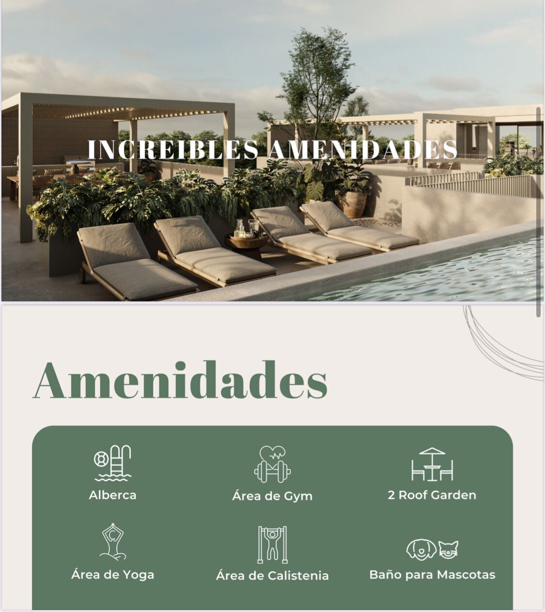 Imagen 3 de 5