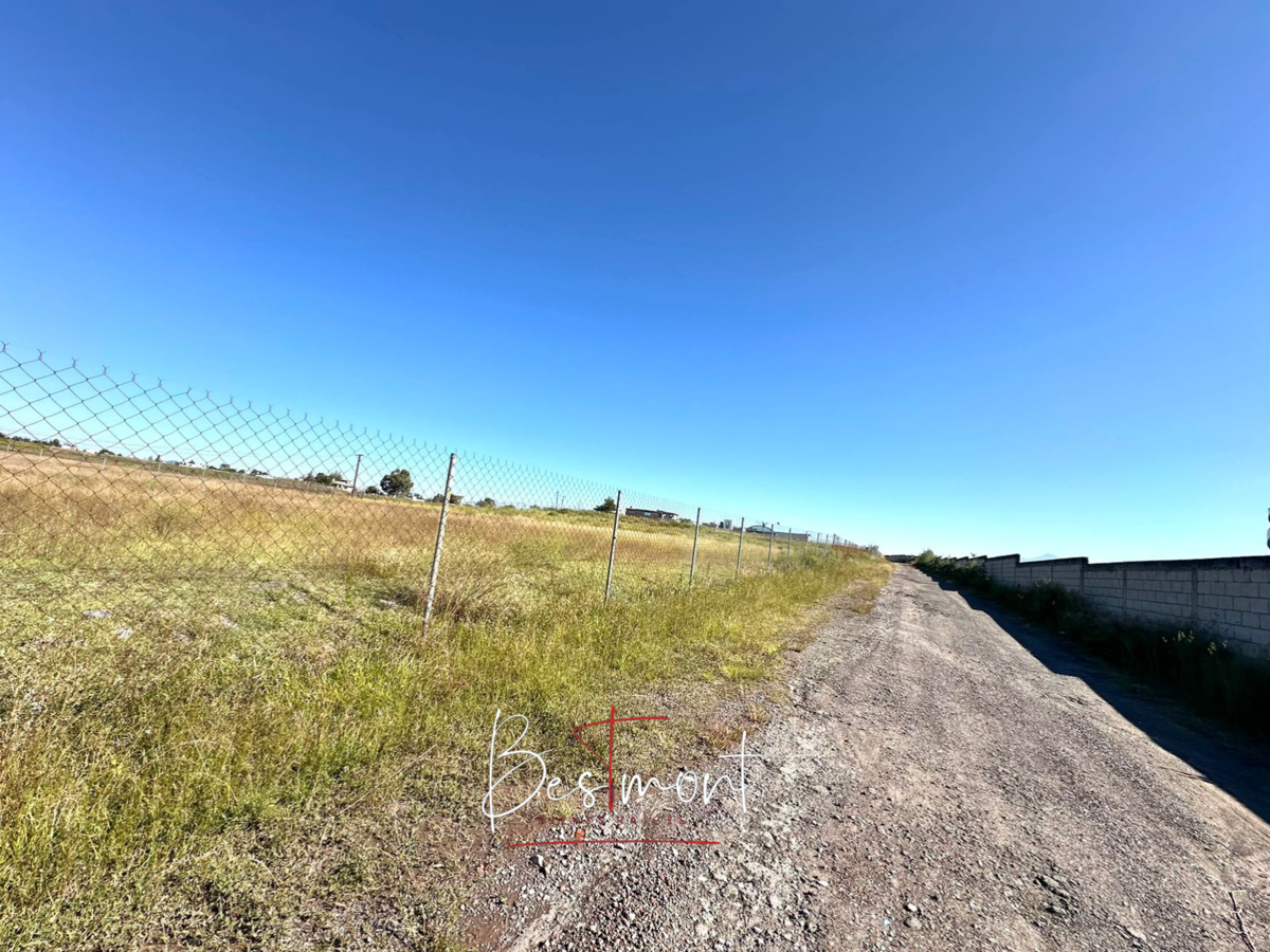 3 de 7: Camino frente al terreno