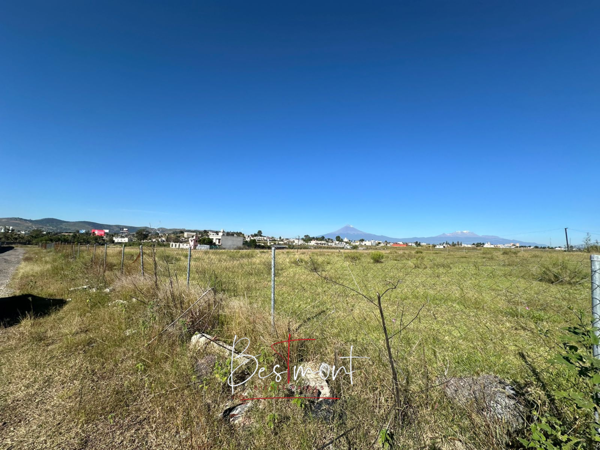 2 de 7: Interior terreno