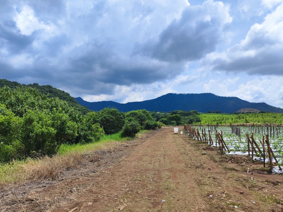 Terreno en Venta en Mascota, Jalisco en la entrada del pueblo Mágico! - foto 4