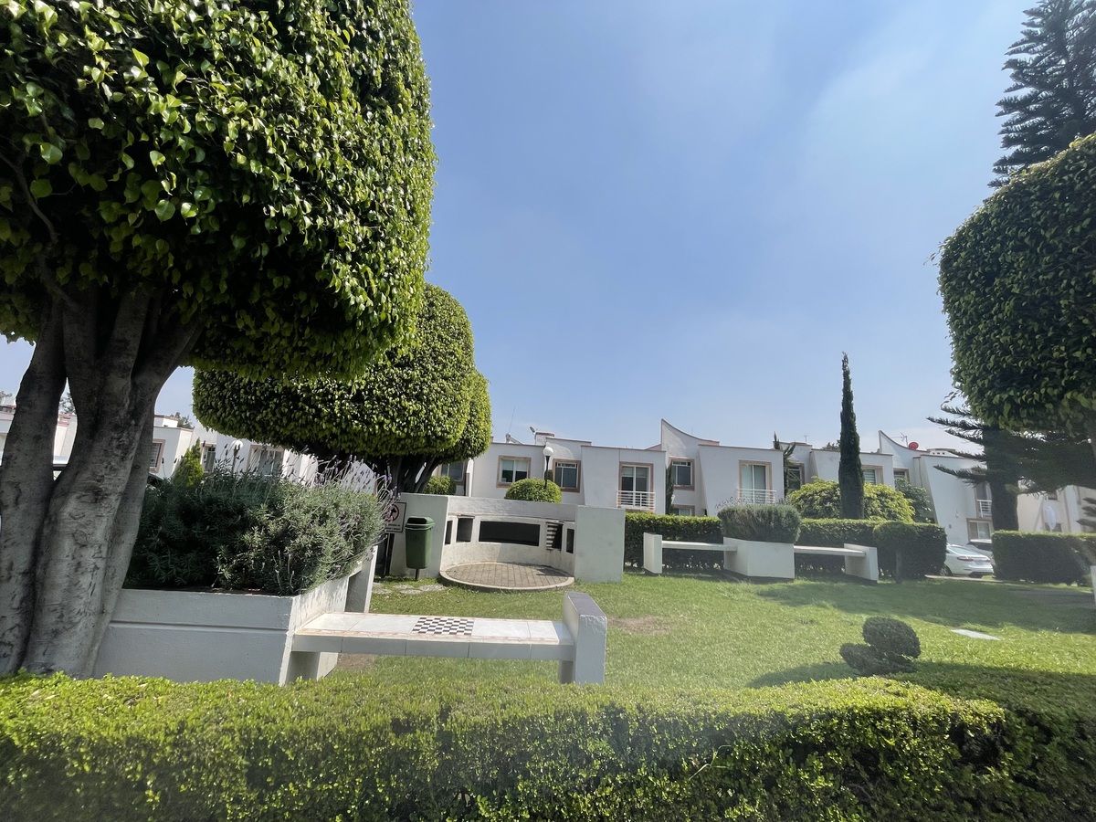 28 de 29: Jardines de área comun