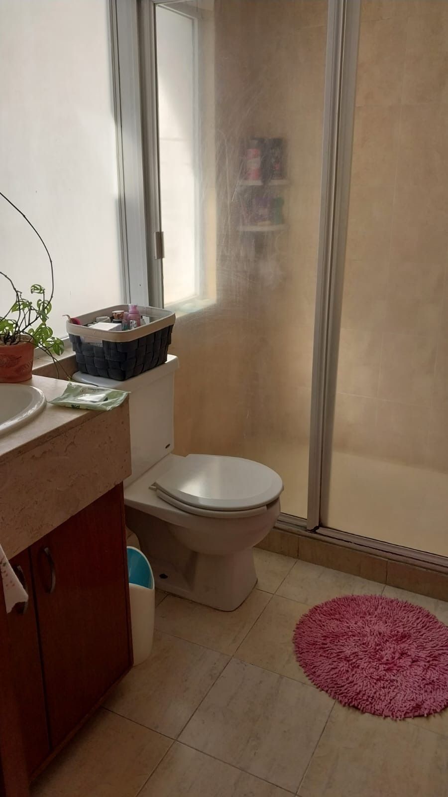 12 de 29: Baño de recámara principal