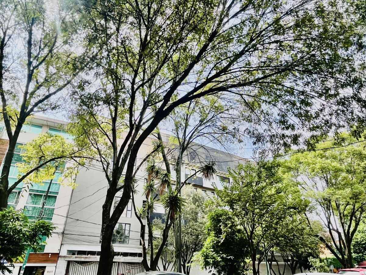 1 de 22: Fachada
