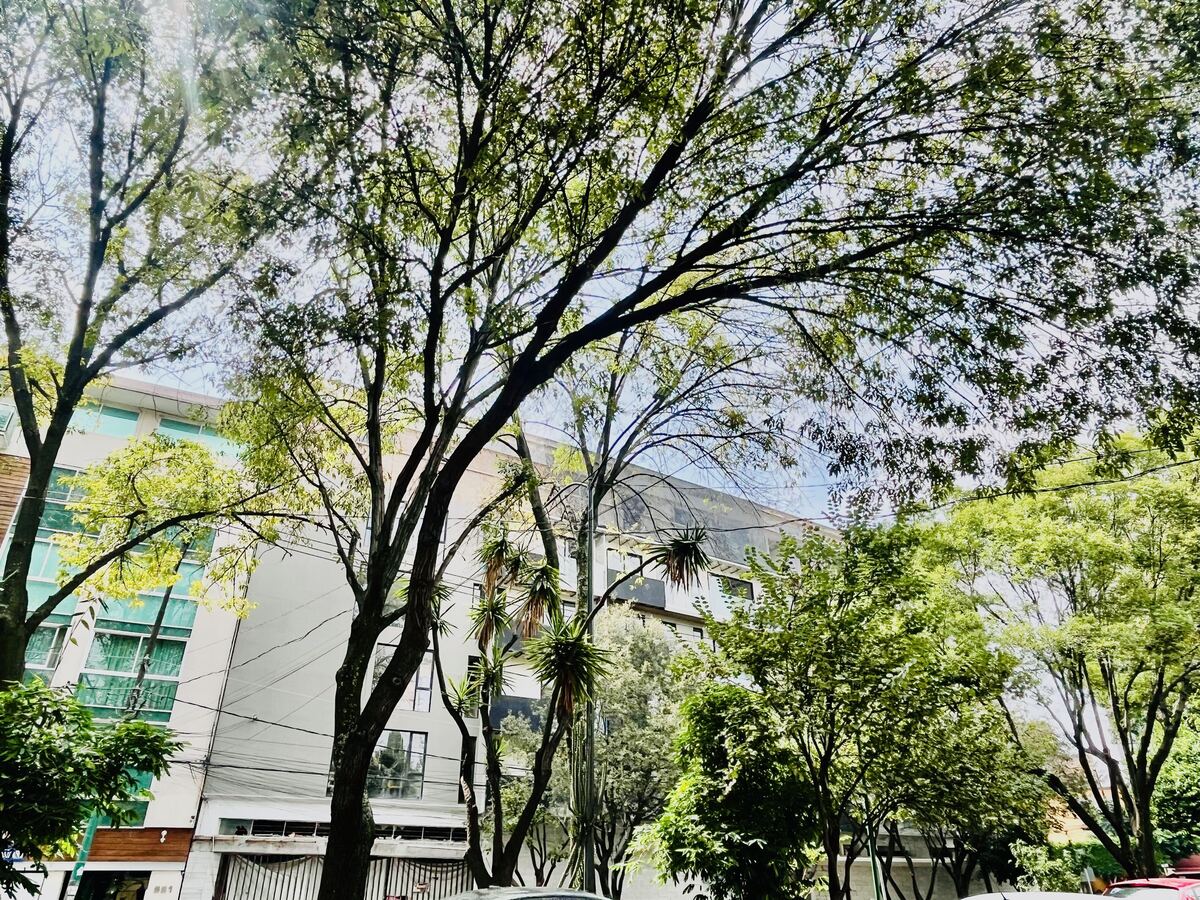 1 of 27: Fachada