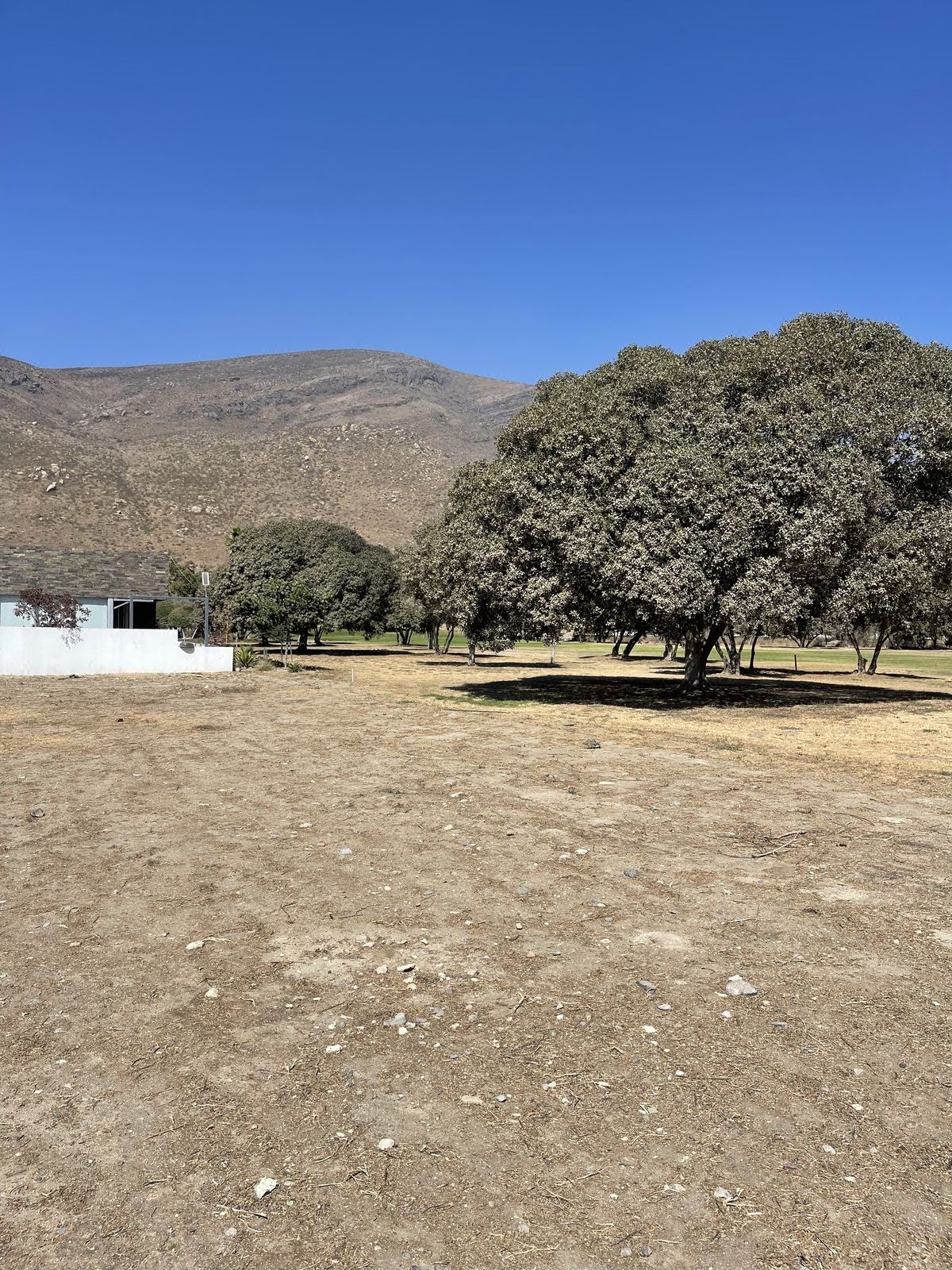 Venta de Terreno en Privada Baja Country Club Residencial, Ensenada,b.c.